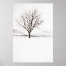 Search for blizzards posters Snow