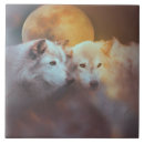 Search for wolf face photography Wildlife