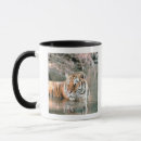 Search for stream mugs Wildlife