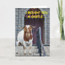 Search for castle cards Animal