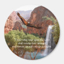 Search for 31 magnets Eagle