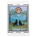 Search for teller magnets Mystic