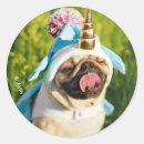 Search for cute funny pugs stickers Animal