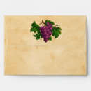 Search for wine tasting event Vineyard