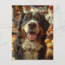 Search for cute cheeseburger postcards Unique
