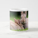 Search for cottontail rabbit mugs Nature