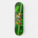 Search for lil skateboards Little