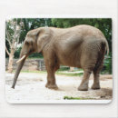 Search for natural history electronics Animals
