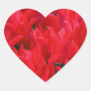 Search for floral nature stickers Tulips