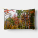 Search for autumn accessories Tree
