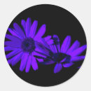 Search for gerbera stickers Botanical