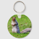 Search for gray squirrel key rings Animal