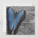 Search for morpho photography Blue