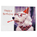 Search for happy birthday dog gift bags Pet