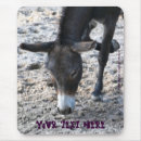 Search for donkey electronics Animal
