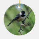 Search for chickadee christmas tree decorations Outdoors