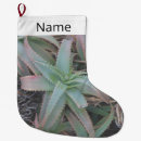 Search for succulent christmas stockings Desert