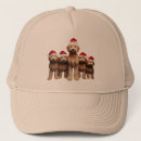 Search for labradoodles hats Goldendoodle