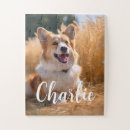 Search for pet puzzles Keepsake