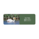 Search for pelican return address labels Nature