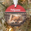 Search for poms christmas tree decorations Pets