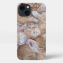 Search for sleeping cat iphone cases Animal