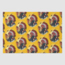 Search for native american tissue paper Feathers