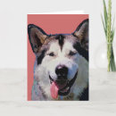 Search for malamute cards Dogs