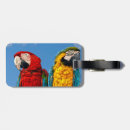 Search for macaw accessories Blue and yellow macaw