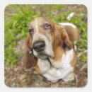 Search for front view stickers Vertical