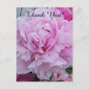 Search for wedding favor postcards Pink