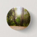 Search for mysterious badges Forest