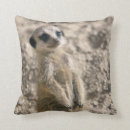 Search for train cushions Animals