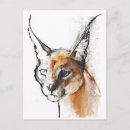 Search for arabian postcards Desert lynx
