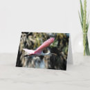 Search for spoonbill cards Photography