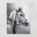 Search for arabian postcards Drawing