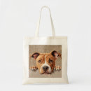 Search for peek a bags Dog