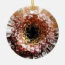 Search for gerbera daisy christmas tree decorations Nature