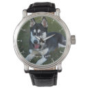 Search for husky watches Puppy