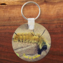 Search for moths key rings Animal
