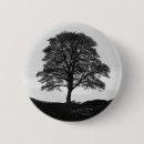 Search for sycamore badges England