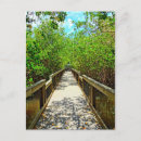 Search for darling postcards Florida