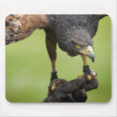 Search for hawk mousepads Flight