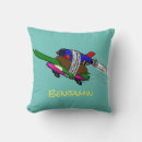 Search for tortoise cushions Illustration