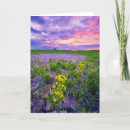 Search for dakota cards Landscape