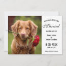Search for my humans are getting married wedding save the dates Dog photo