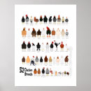 Search for chicken breeds posters Chickens