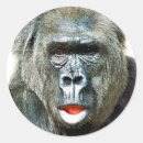 Search for cute gorilla stickers Primates