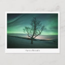 Search for aurora borealis postcards Polar light