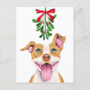 Search for pitbull christmas cards Cute